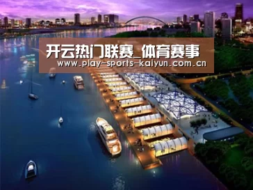 案例展示八