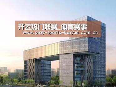 案例展示四