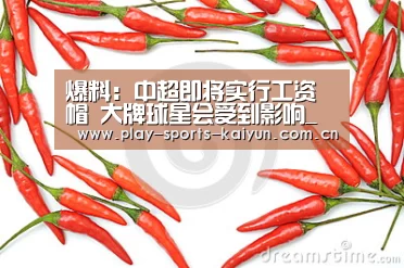 开云体育网站