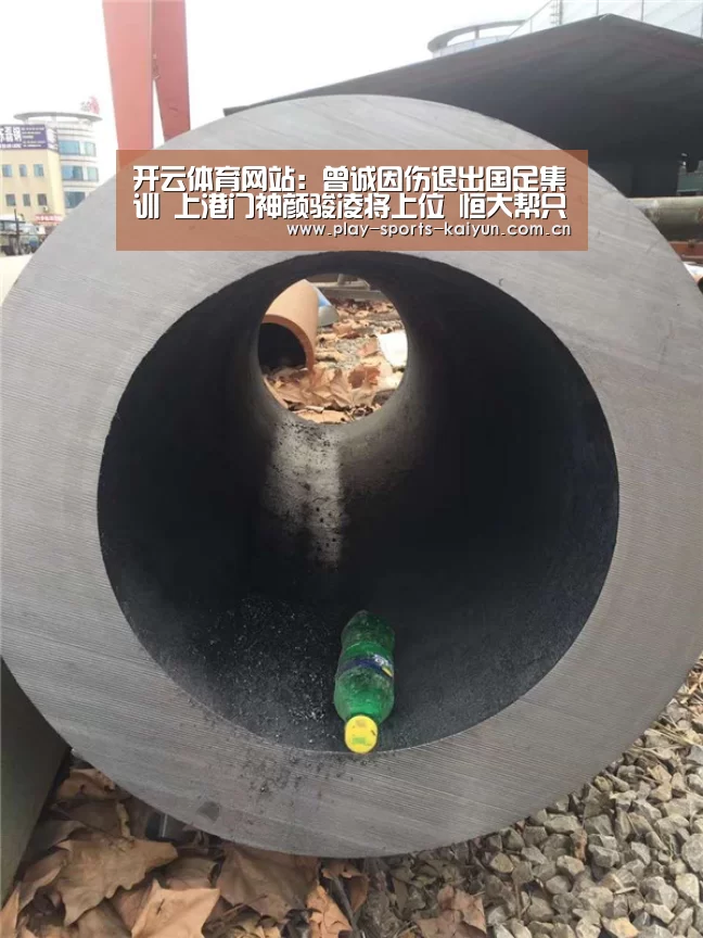 开云体育网站