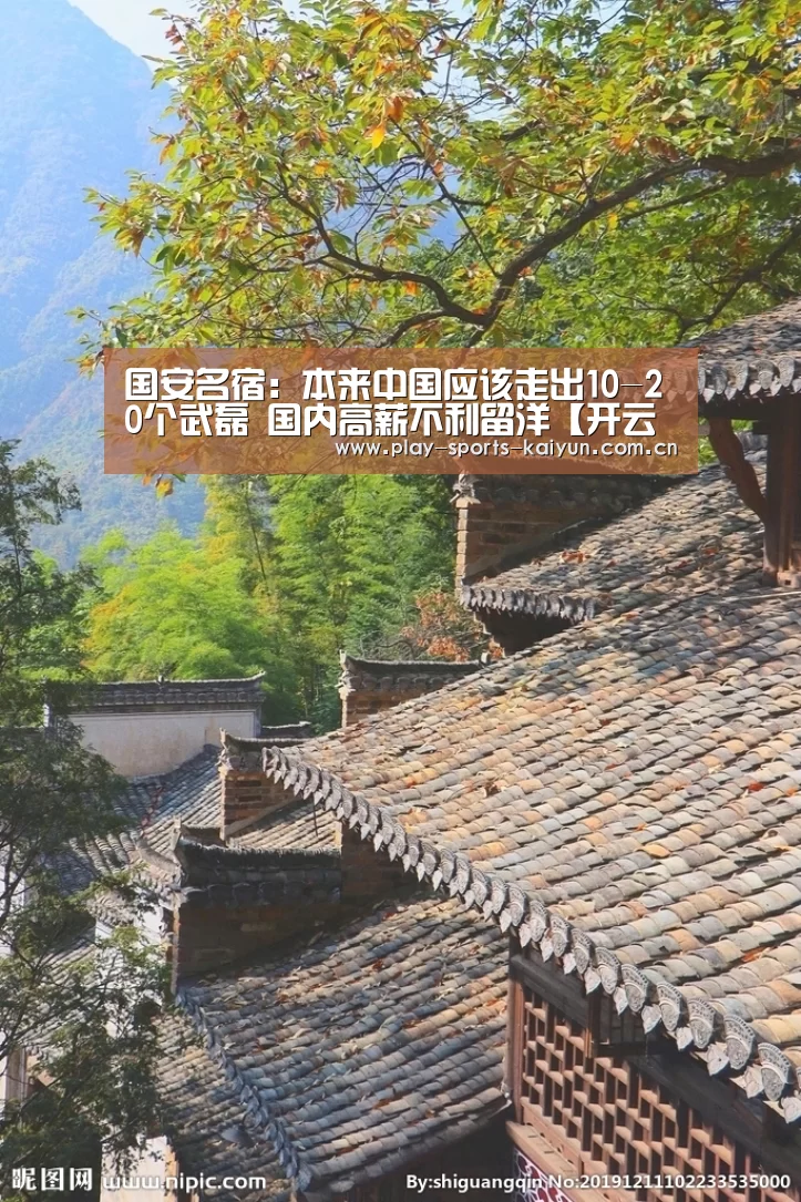 国安名宿:本来中国应该走出10-20个武磊 国内高薪不利留洋【开云体育网站】(图1) 开云体育官网