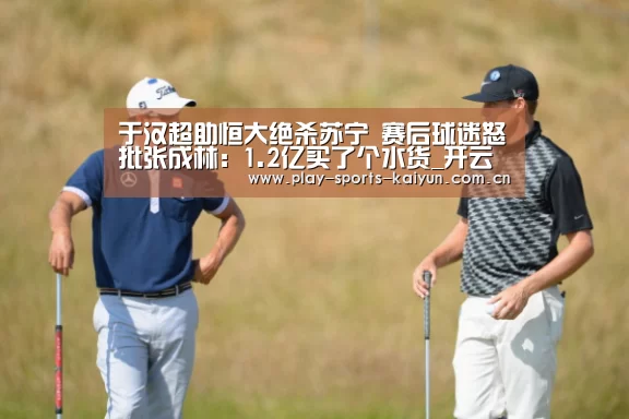于汉超助恒大绝杀苏宁 赛后球迷怒批张成林:1.2亿买了个水货_开云体育网站(图1) 开云体育官网