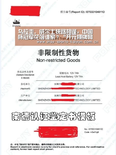 乌拉圭、威尔士狭路相逢,中国杯冠军花落谁家?“开元棋牌网址”(图4) 开云棋牌