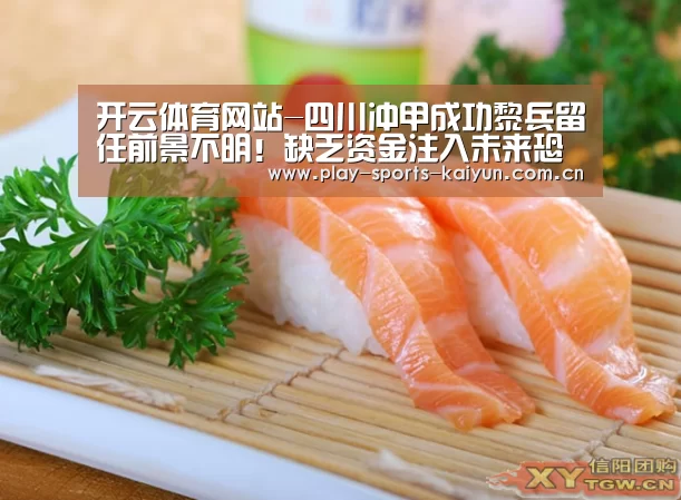 开云体育网站-四川冲甲成功黎兵留任前景不明！缺乏资金注入未来恐难立足中甲